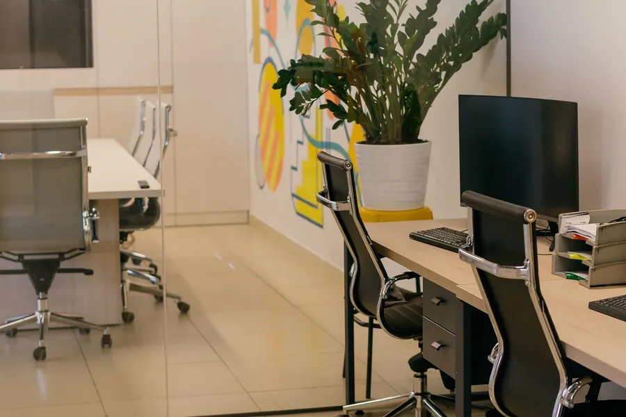 A bright office with painted walls, workstations, task chairs and a potted plant by the window.
